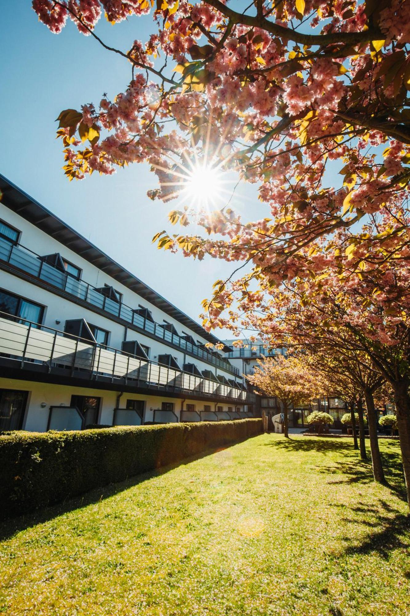 Resort Hotel IV Jahreszeiten ツィングシュト エクステリア 写真